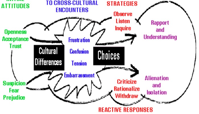 shock cycle