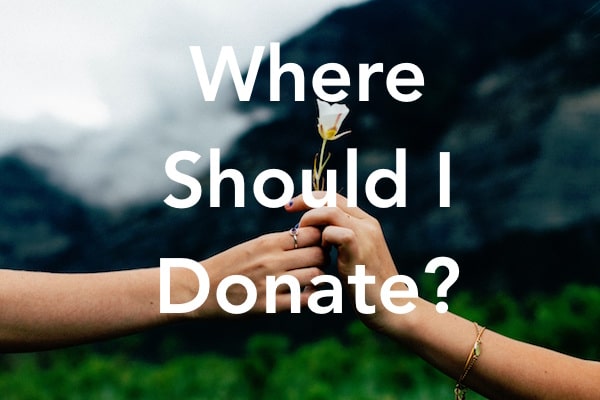Where should I donate