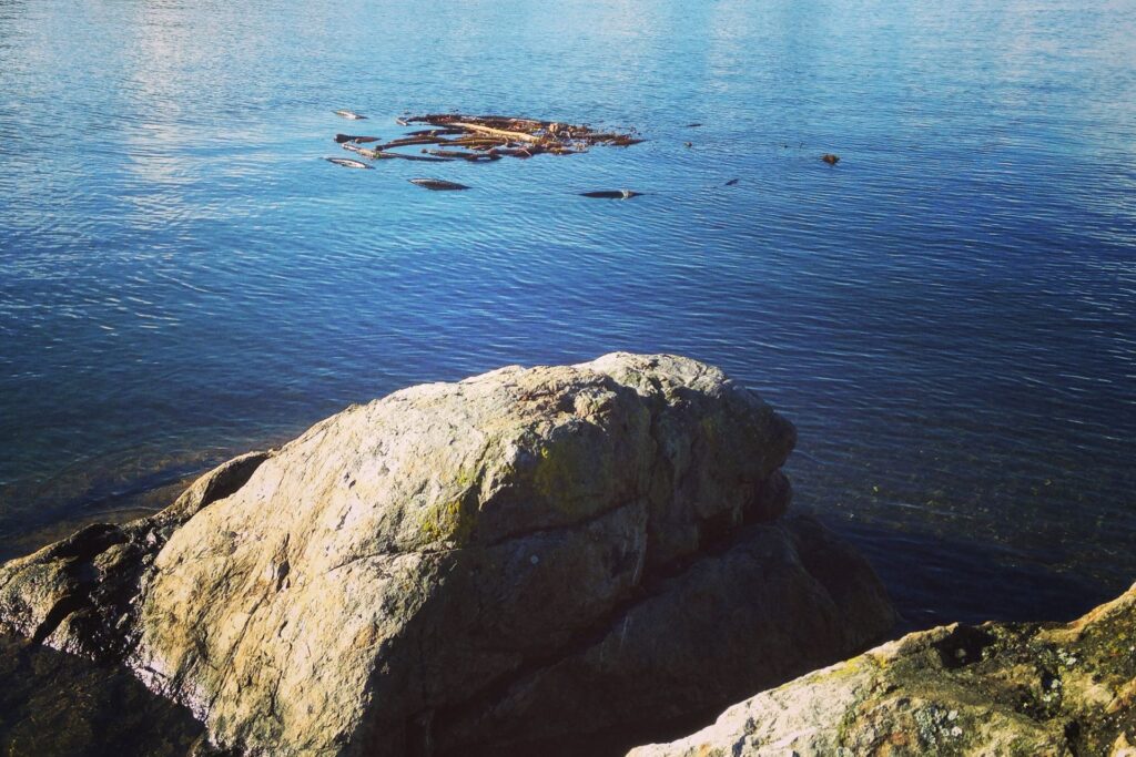 What Island Health Taught Me About Culture
