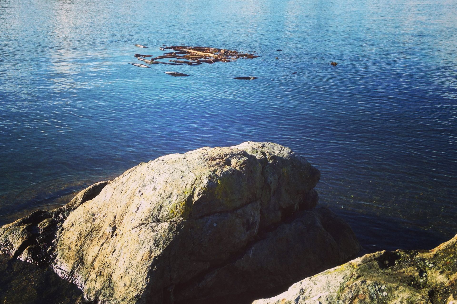 What Island Health Taught Me About Culture